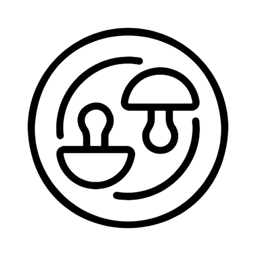 GrowShroomsEasy Logo